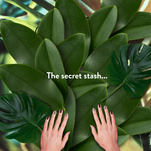 Mystery Bundle Secret Stash